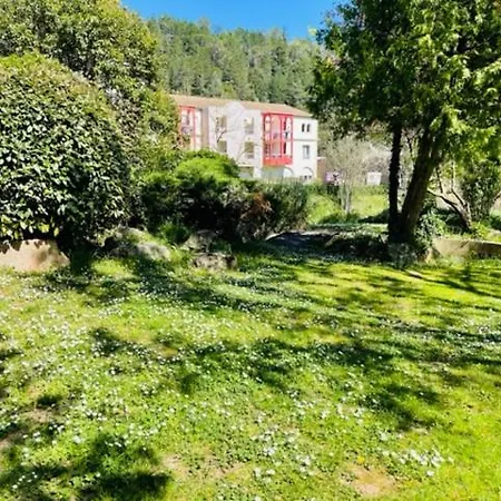 Tamalou Ii Studio Cosy-proche Thermes-rez Chaussee Apartment Lamalou-les-Bains